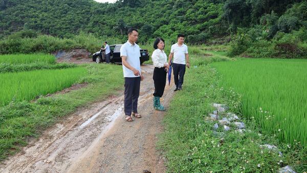 UỶ BAN NHÂN DÂN XÃ VẠN LINH KIỂM TRA TIẾN ĐỘ MỘT SỐ CÔNG TRÌNH TRÊN ĐỊA BÀN ; CÔNG TÁC CHUẨN BỊ CƠ SỞ VẬT CHẤT MỘT SỐ TRƯỜNG TRÊN ĐỊA BÀN XÃ.